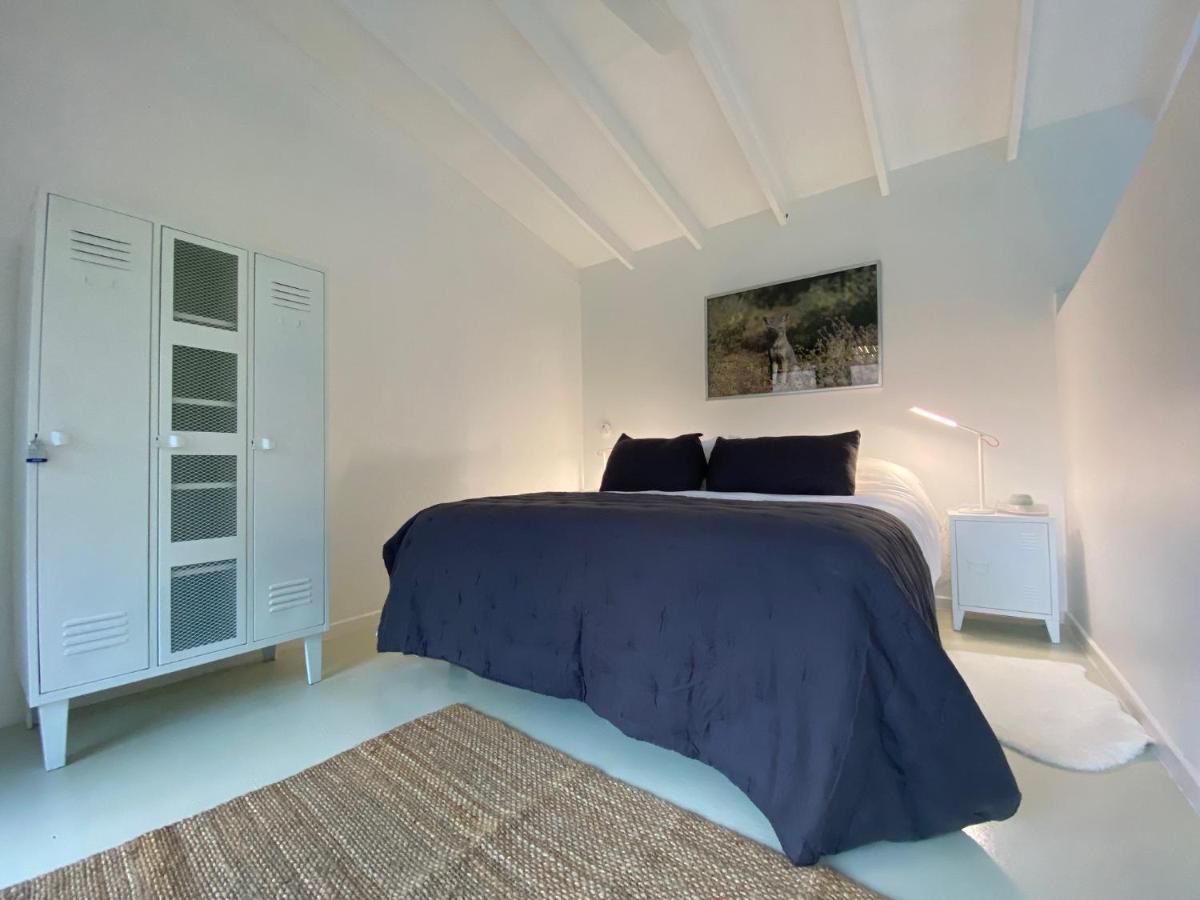 Glaciar De Roca Lofts Horcón Kültér fotó